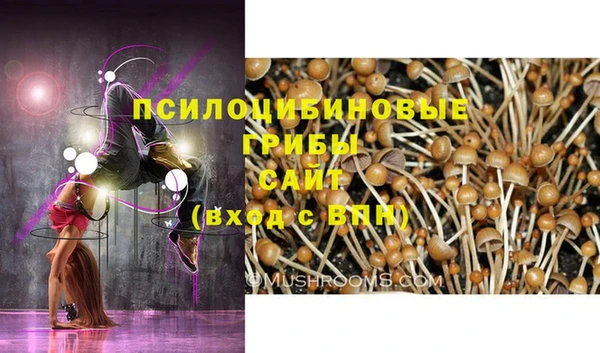 таблы Бородино