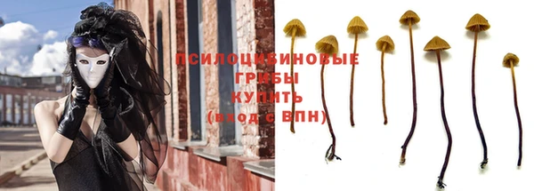 кокс Белокуриха