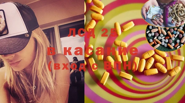 таблы Бородино