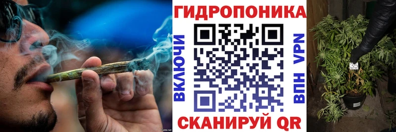 Канабис планчик Северск